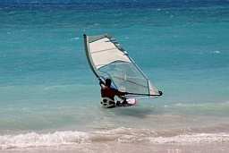 a windsurfer off the coast of Barbados
