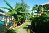 Hotel_Jamaican_Colors_Image_7