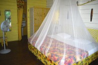 Hotel_Jamaican_Colors_Image_9