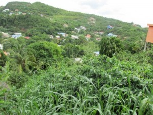 Sloping Lot at Corinth for sale COR 003 L