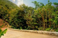 Mountain Road Saba_JCP-1