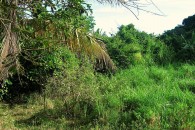 Saba Land for sale - 03