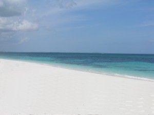 Beach View - Bahama palm shores