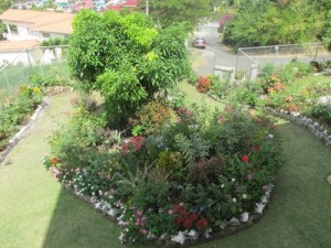home gardens
