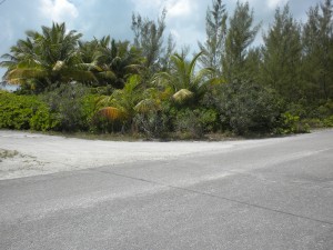 added photo of the lot 3 Treasure Cay