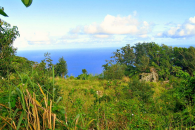 The Mountain Land Saba