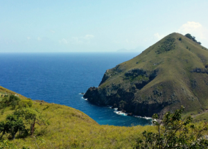 Saba Island Real Estate image