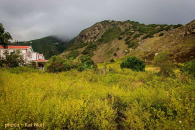 Spring Bay Land for Sale Saba Island_4