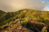 Spring Bay Land for Sale Saba Island_5