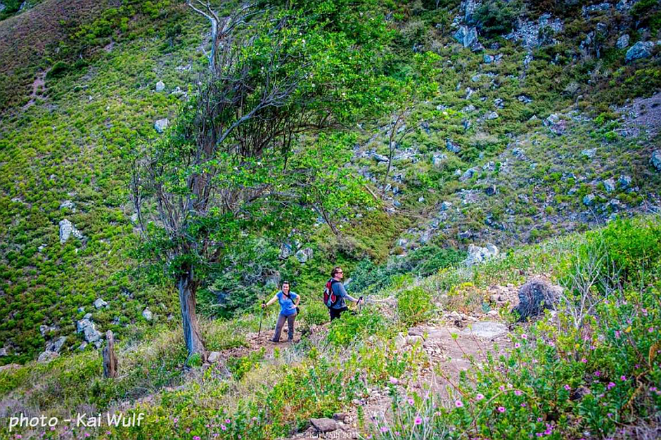 Spring Bay Land for Sale Saba Island_7