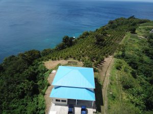 Aerial view of commercial building on property