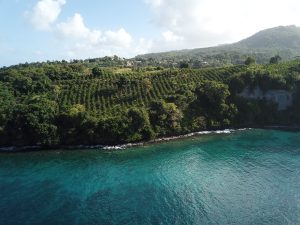 Grenada Agricultural Development Opportunity - Reduced!