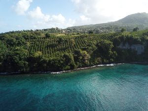 Aerial View of Land and Ocean