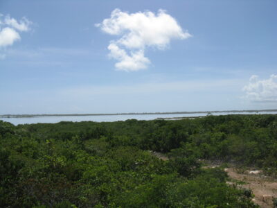 Kings Landing Lots, North Caicos TCI