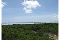 Ridge View Lot - Turks and Caicos