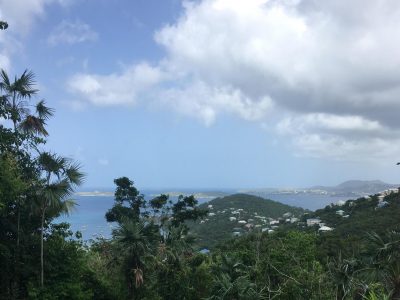 Land for sale - Sans Soucci & Guinea Gut - St John USVI