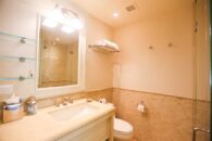 St-Lucia-Homes-Gobat-Cap-Maison-Villa-Bathroom-850x570